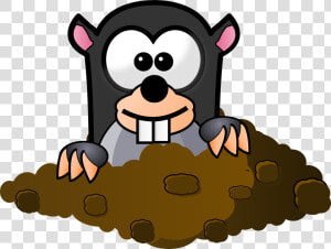 Whack A Mole Mole  HD Png Download