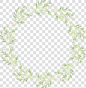 Png Transparent Stock Transparent Wreath Vine   Transparent Background Leaf Wreath Png  Png Download