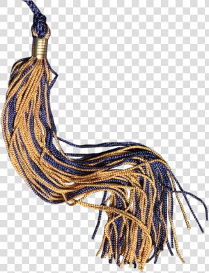 Navy And Gold Graduation Tassel   Insect  HD Png Download