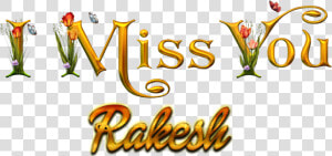 Rakesh Missing You Name Png   Raman Name  Transparent Png