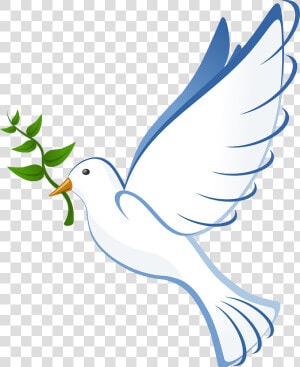 Dove  Flying  Peace  Olive  Branch  Symbol  Pigeon   Paloma De La Paz Png  Transparent Png