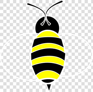 Honeybee  HD Png Download