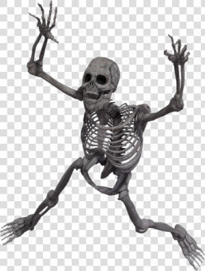 Skeleton   Png Download   Skeleton  Transparent Png