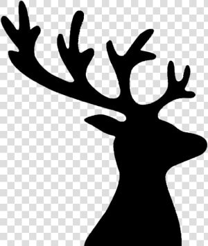 Reindeer Red Deer Antler Elk   Reindeer  HD Png Download