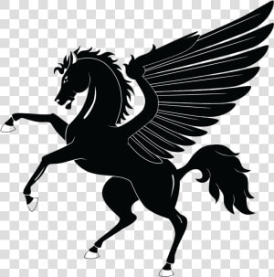 Pegasus Png Transparent Background   Pegaso Blanco Y Negro  Png Download