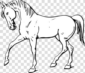 Walking Horse Outline Svg Clip Arts   Horse In Black And White  HD Png Download