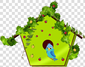 Bluebird  Bird  Birdhouse  Avian  House  Home  Insects   Birdhouse Clipart  HD Png Download