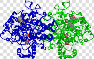 Cox 2 Inhibited By Aspirin   Aspirin Cox Structure  HD Png Download