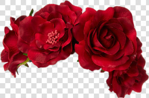  redroses  flowercrown   Red Flower Crown Png  Transparent Png