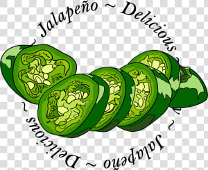 Transparent Jalapeno Pepper Clipart   Jalapeno Cartoon  HD Png Download