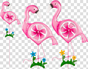 Transparent Flamingo Clip Art   Plameniak Nalepky Na Nechty  HD Png Download