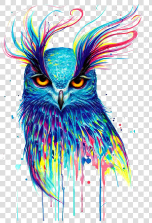  mq  owl  colorful  paint  birds  bird  flying   Owl Art  HD Png Download