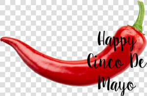 Happy Cinco De Mayo   Bird  39 s Eye Chili  HD Png Download