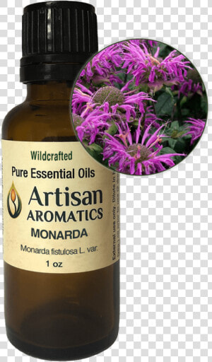 Monarda Essential Oil   Essential Oil  HD Png Download