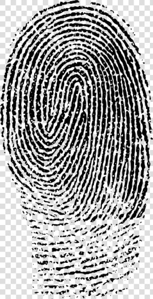 Fingerprints Images Png   Index Finger Print Png  Transparent Png