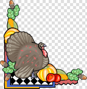 Vector Illustration Of Thanksgiving Harvest Vegetables   Thanksgiving Lunch Clip Art  HD Png Download