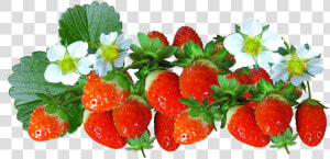 Strawberries  Fruit  Food  Flowers  Summer  Natural   Fruit And Flower Transparent  HD Png Download