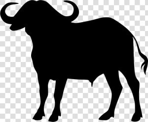 Cape Buffalo Transparent Png   Buffalo Silhouette Free Vector  Png Download