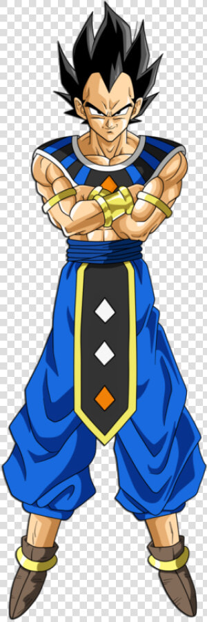 Vegeta God Of Destruction  HD Png Download