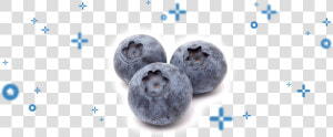 Bilberry  HD Png Download