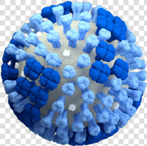 Flu19 Full Nottrans large   Flu Virus  HD Png Download