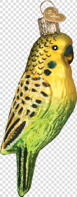 Budgie  HD Png Download