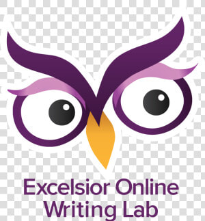 Excelsior College  HD Png Download