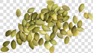 Pumpkin Seeds Png   Transparent Background Pumpkin Seeds Png  Png Download