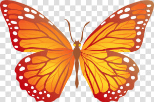 Butterfly Sticker Png   Monarch Butterfly T Shirts  Transparent Png