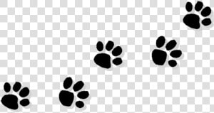 Pawprint Clipart Trail   Paw Print Clipart Transparent Background  HD Png Download