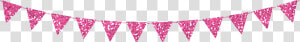  banner  flag  pennant  pink  glitter  png   Flags Celebration  Transparent Png