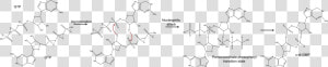 C Di Gmp Possible Mechanism   Diguanylate Cyclase  HD Png Download