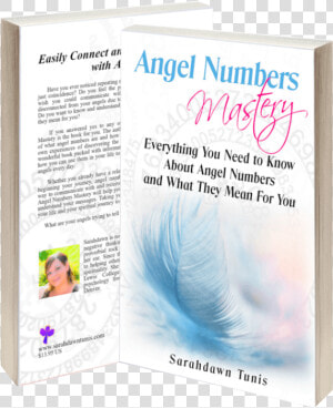 Angel Numbers Mastery By Sarahdawn Tunis   Flyer  HD Png Download