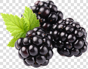 Blackberry Fruit Png Clipart   Blackberry Fruit  Transparent Png