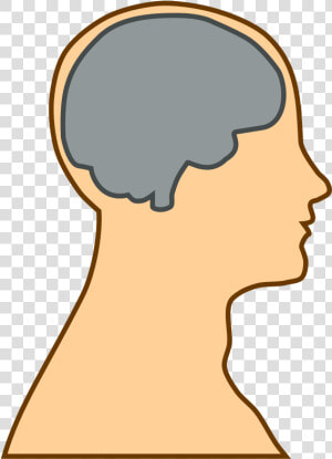 Free Simple Brain Silhouette   Cartoon Head With Brain  HD Png Download