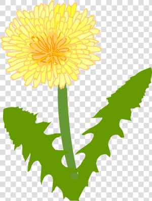 Dandelion   Dandelion Clip Art  HD Png Download