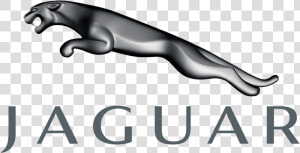 Jaguar Car Logo Png Image   Jaguar Logo  Transparent Png