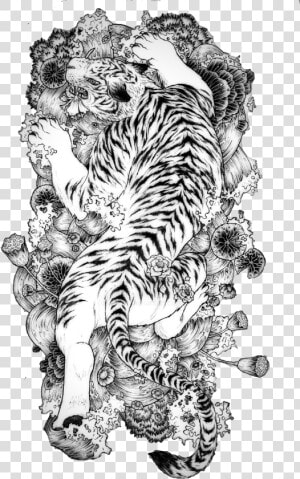 Tattoo Chinese Dragon Tiger China White Clipart   Japanese Tiger Tattoo Drawing  HD Png Download