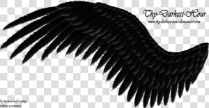 Search Results For “side View Angel Wings Png” Calendar   Black Wings Transparent Background  Png Download