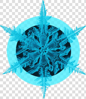 Blue Black Crystal Ice Flower Decorative Png And Psd   Png Ice Crystal  Transparent Png