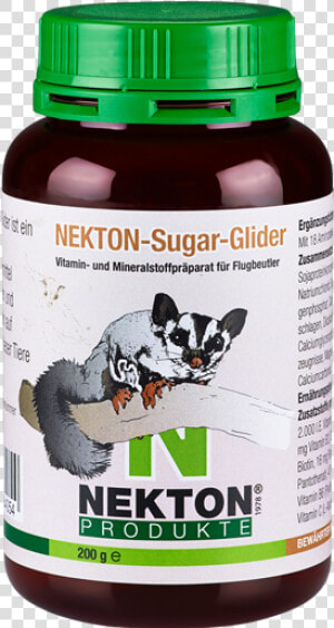 Nekton Sugar Glider  HD Png Download