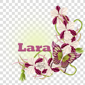 Nombres Con La Letra L   Orchids Of The Philippines  HD Png Download