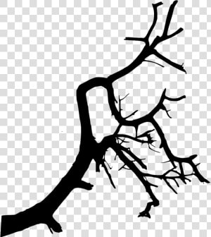  trees  tree  foliage  shadow  black  nature  plants   Tree Branch Tree Shadow Png  Transparent Png