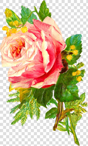 The Second Digital Flower Image Is Of A Bunch Of Pink   Hd Digital Flower Png  Transparent Png