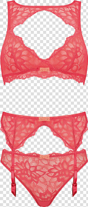 Panties  HD Png Download