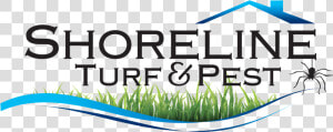 Shoreline Turf  amp  Pest Control Inc Logo  HD Png Download