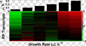 Transcriptional Growth Rate Response Of The Ribosomal   Graphic Design  HD Png Download