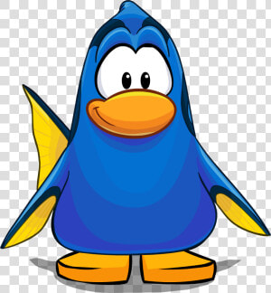 Dory Costume On A Player Card   Penguin With A Scarf  HD Png Download