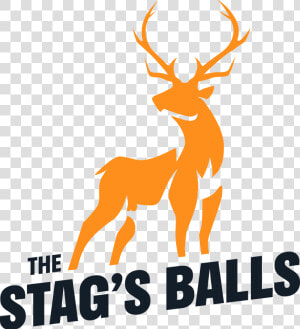 Stag Party Website   Elk  HD Png Download