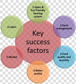 Key Success Factors  HD Png Download